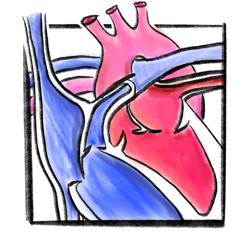 The Heart Project