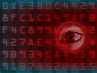 What's Your Password